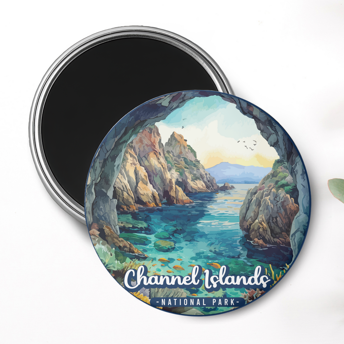 Channel Islands National Park Magnet